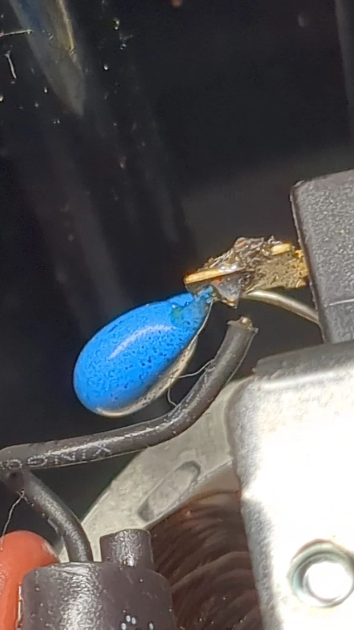 Coffee Grinder Not Grinding